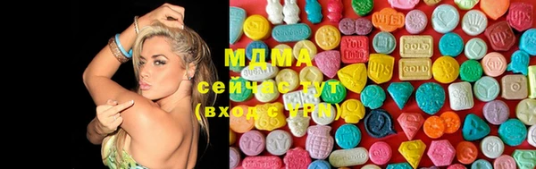стаф Аркадак