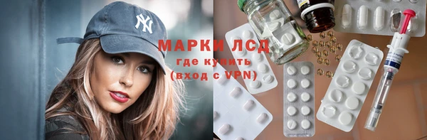 стаф Аркадак