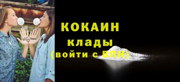 стаф Аркадак