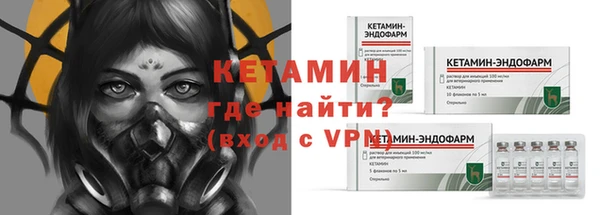 стаф Аркадак