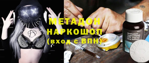 стаф Аркадак
