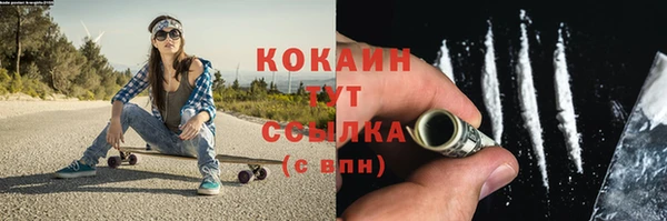 стаф Аркадак
