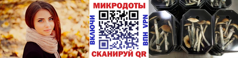 где купить   Маркс  Псилоцибиновые грибы мухоморы 